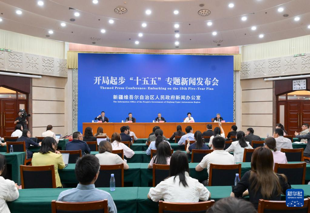 【新华网】新疆：“十五五”将布局培育低空经济等新兴产业(图2)